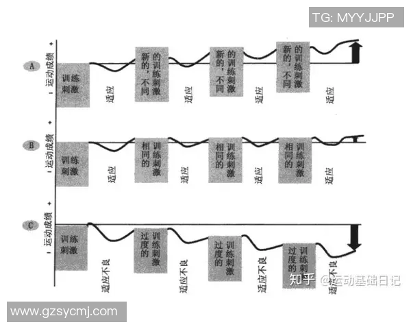 北京乒乓球队耐力表现数据分析揭示训练效果与竞技水平的关系 北京乒乓球队耐力表现数据分析揭示训练效果与竞技水平的关系