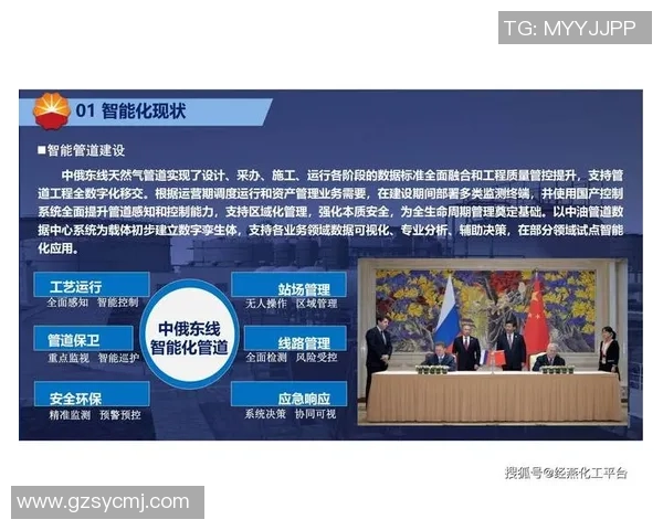 南京篮球队灵活性分析与战术调整的深度探讨