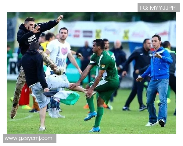 全球足球观众排名揭晓各国球迷热情指数大比拼 全球足球观众排名揭晓各国球迷热情指数大比拼