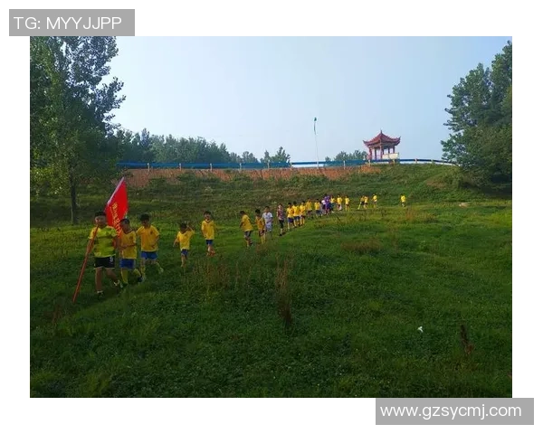 打足球的潜在危害与对青少年身体健康的影响分析