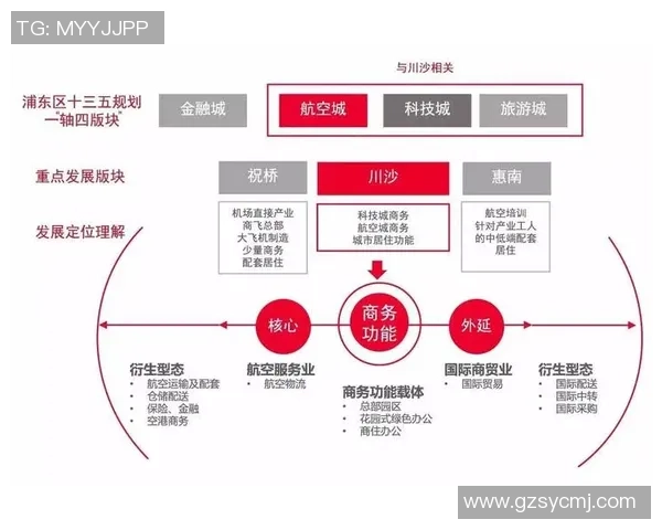 重磅专题：探秘成都排球队防反战术革新背后的成功秘诀与未来展望