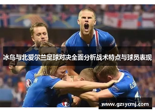 冰岛与北爱尔兰足球对决全面分析战术特点与球员表现