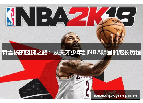 特雷杨的篮球之路：从天才少年到NBA明星的成长历程