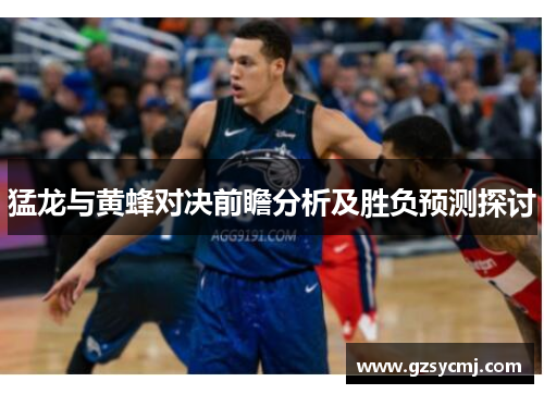 猛龙与黄蜂对决前瞻分析及胜负预测探讨